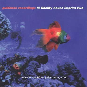 Hi-Fidelity House Imprint Two by Various Artists - album cover