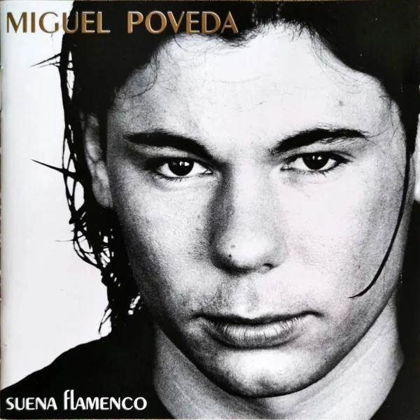 Suena flamenco