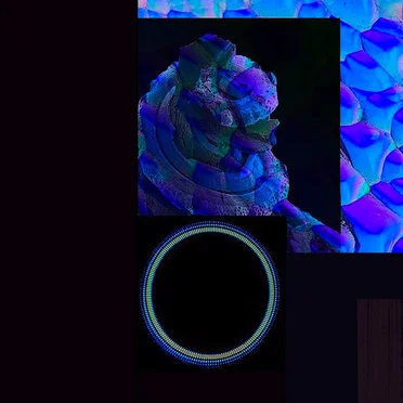 metamorphosis by thanat.osx - album cover