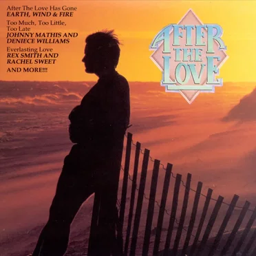 After the Love by Various Artists - album cover