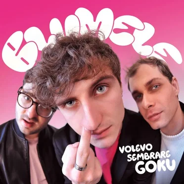 Volevo sembrare Goku by Blumele - album cover