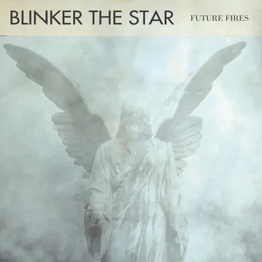 Future Fires