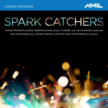 Spark Catchers