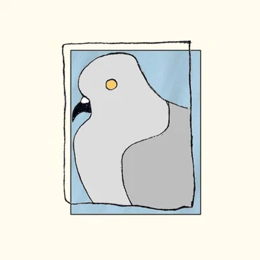 What Do You Think That Bird?