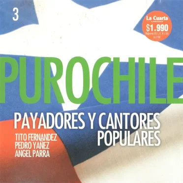 Puro Chile Payadores y Cantores Populares Vol. 3 by Various Artists - album cover