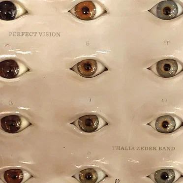 Perfect Vision by Thalia Zedek Band - album cover