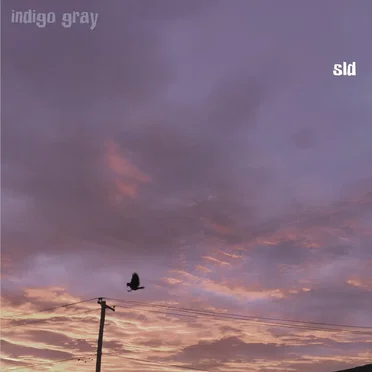 Indigo Gray by S.L.D. - album cover