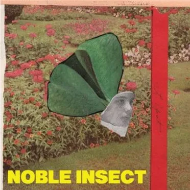 Noble Insect