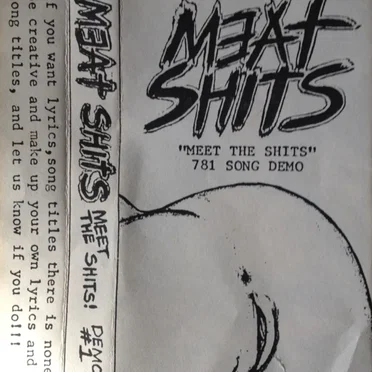 "Meet the Shits" 781 Song Demo