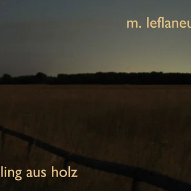 reling aus holz by leflaneur - album cover