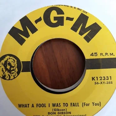 What a Fool I Was to Fall