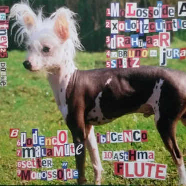 Dogue by Britney25 - album cover