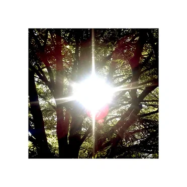 In Light