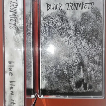 Blue Blew It by Black Trumpets - album cover