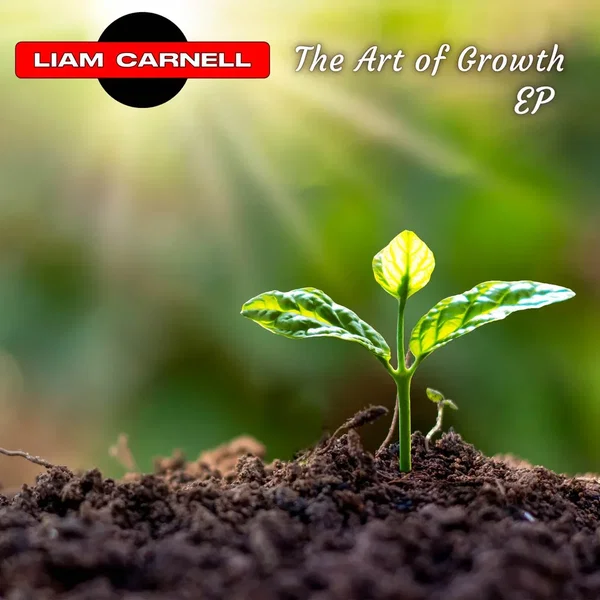 The Art of Growth