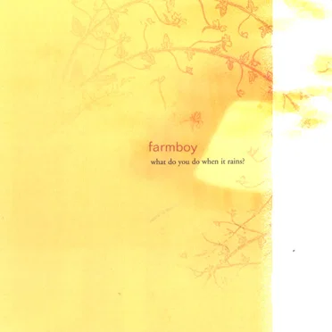 what do you do when it rains? by farmboy - album cover