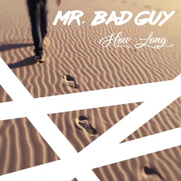 How Long by Mr. Bad Guy - album cover