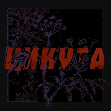 Цикута