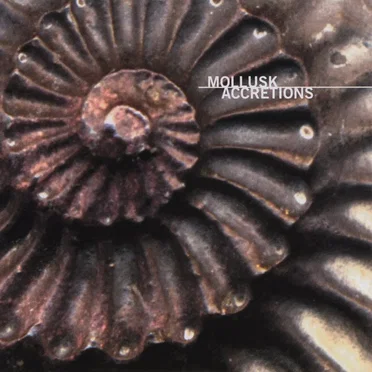 Accretions by Mollusk - album cover