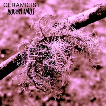 Illusory Walls by Ceramicist - album cover