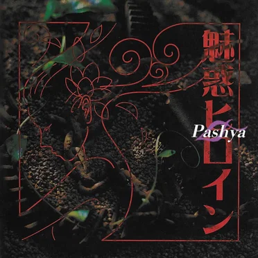 魅惑ヒロイン by Pashya - album cover