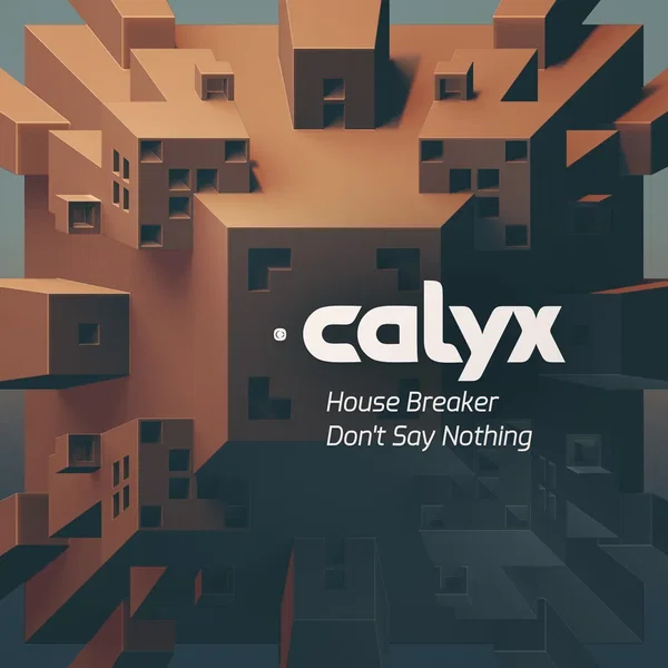 House Breaker / Don’t Say Nothing