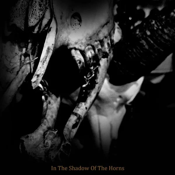In the Shadow of the Horns