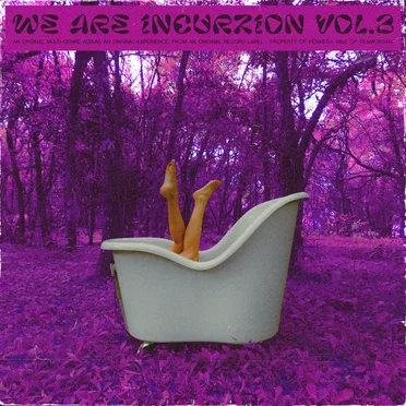 We Are Incurzion, Vol. 2 by Various Artists - album cover