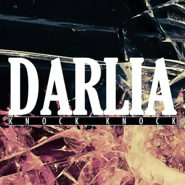 Knock Knock by Darlia - album cover