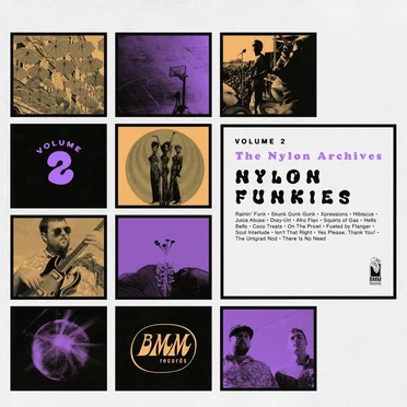 Nylon Archives Vol. 2: Nylon Funkies by The Brothers Nylon - album cover