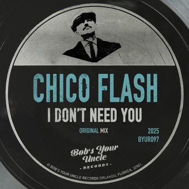 I Don't Need You by Chico Flash - album cover