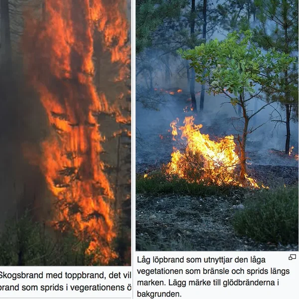 Incendios