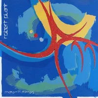 Robert Plant artist image