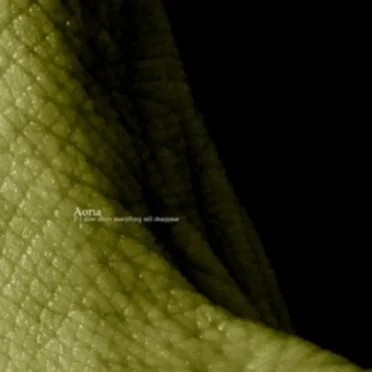 If I Slow Down Everything Will Disappear by Aoria - album cover