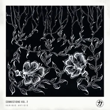 Connections Vol. 2 by Various Artists - album cover