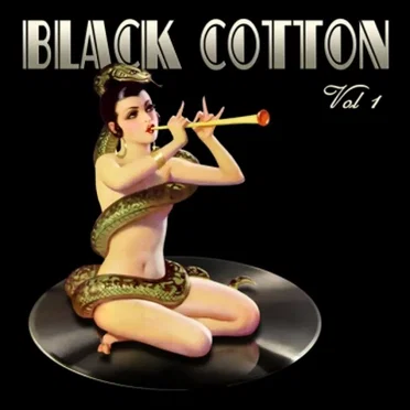 Black Cotton Vol 1 by Various Artists - album cover
