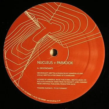 Descendants / Night Theme (Paradox remix)