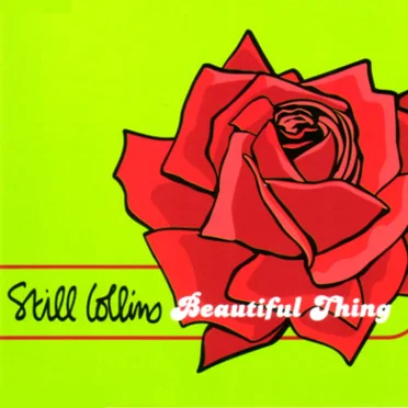 Beautiful Thing by Still Collins - album cover