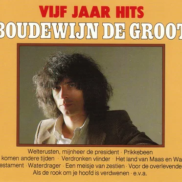 Vijf jaar hits