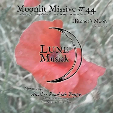 Moonlit Missive #44