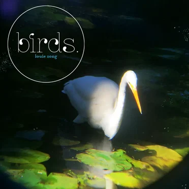 birds.