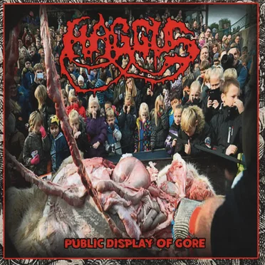 Public Display of Gore / Four Under the Floor