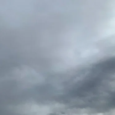 piano20240215