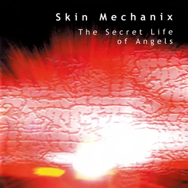 The Secret Life of Angels by Skin Mechanix - album cover