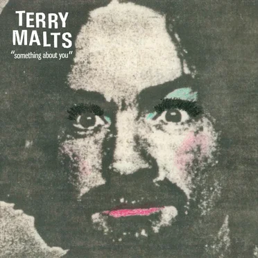Something About You by Terry Malts - album cover