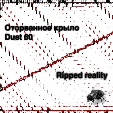 Ripped reality by Оторванное крыло - album cover