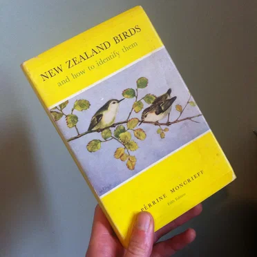 New Zealand Birds II - New Zealand Covers by Various Artists - album cover