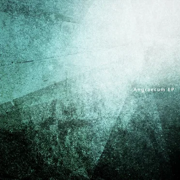 Angraecum EP