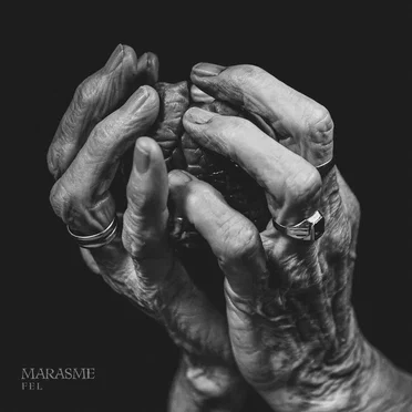 Fel by Marasme - album cover