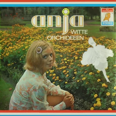 Witte orchideeën